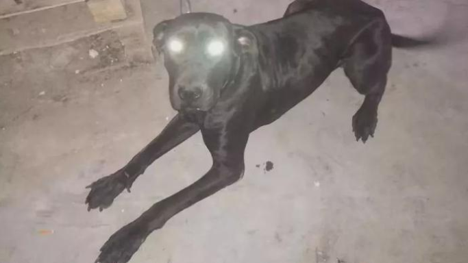 1572666782393513.png 4.png