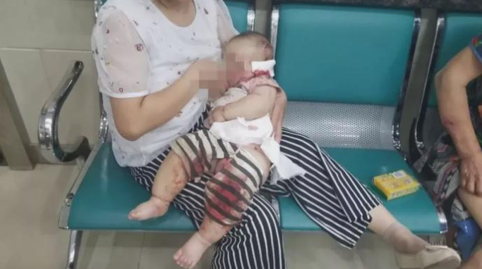 1572666907696532.png 12.png