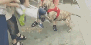 1572666940588936.gif 2019%2F1102%2Fff33e2dag00q0bo5i00k6c0008c0044m.gif