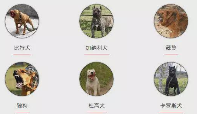 1572666954171233.png 14.png