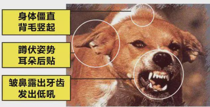 1572666974636531.png 15.png