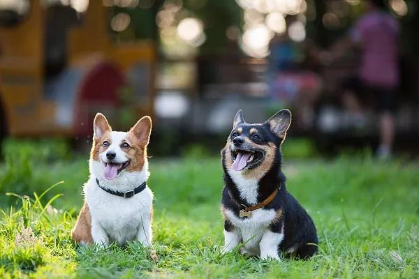 微信图片_20191102172517.jpg?x-oss-process=style/w10