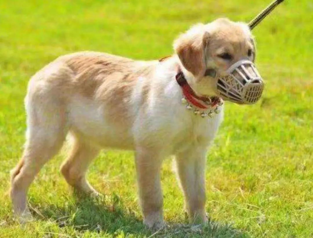 微信图片_20191102172532.jpg?x-oss-process=style/w10