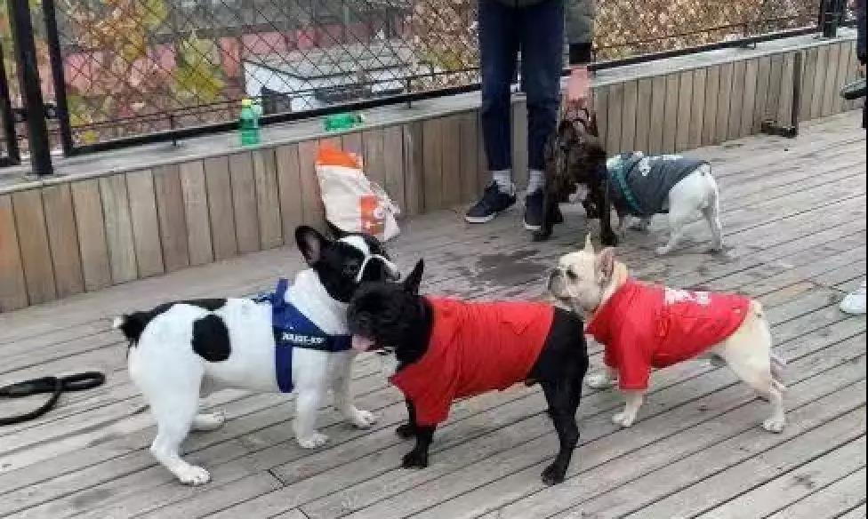 微信图片_20191102172536.jpg?x-oss-process=style/w10