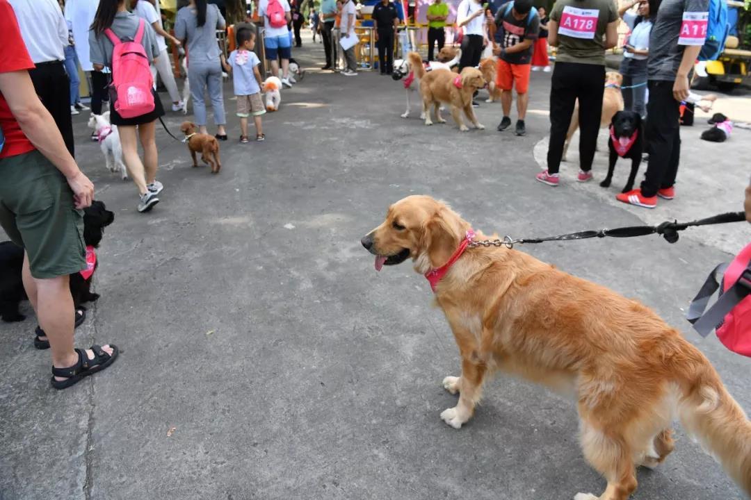 微信图片_20191102172541.jpg?x-oss-process=style/w10