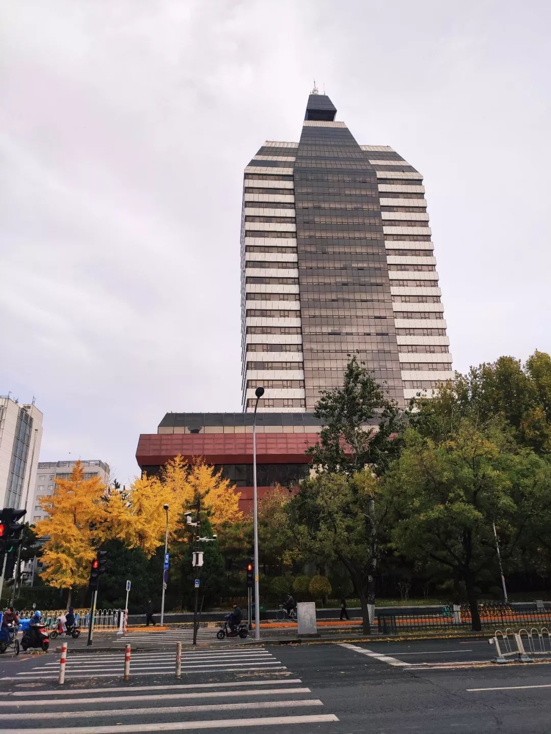 新华社记者王朝 摄有没有被这波雪白 金黄的图美翻