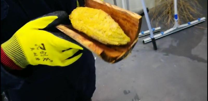 1574336477145494.jpg 微信图片_20191121194055.jpg