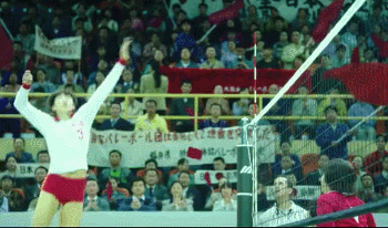 1577164172606528.gif 640.gif