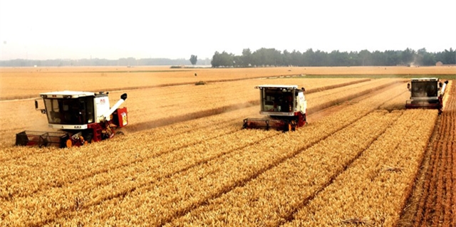 1577237346778057.jpg LOCAL201912241602000361517708096.jpg