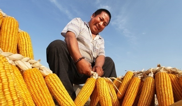 1577236876895414.jpg LOCAL201912241602000446410114365.jpg