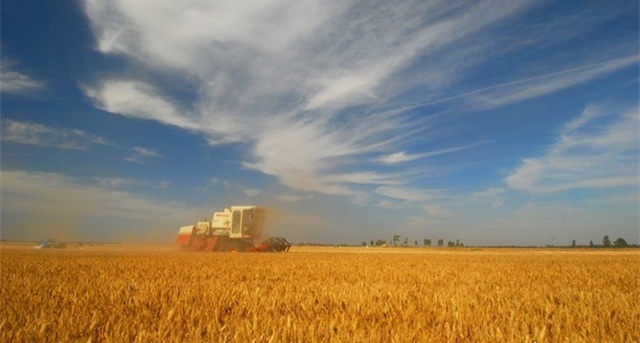 1577237232498193.jpg LOCAL201912241555000390902489158.jpg