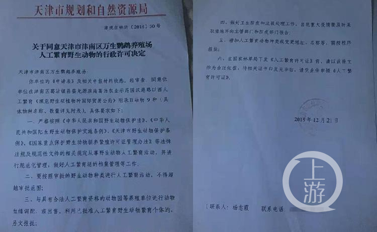 天津市规划和自然资源局许可万生鹦鹉养殖场人工繁育太阳锥尾鹦鹉、和尚鹦鹉等9类鹦鹉（不包括绿颊锥尾鹦鹉）受访者供图