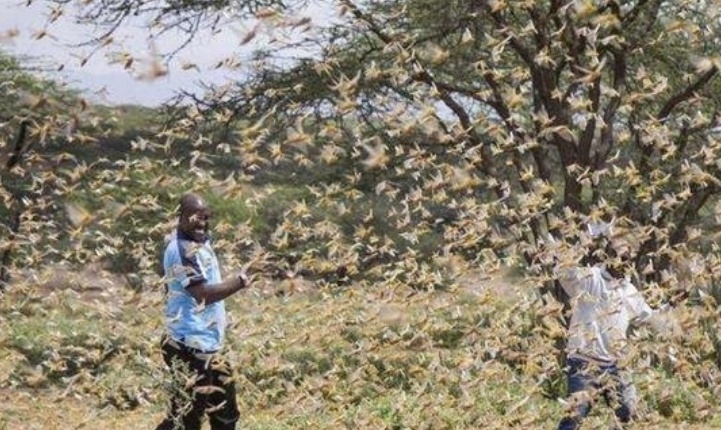 图源网络 图源网络