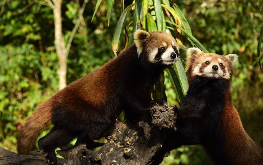 1581999707158785.jpeg WechatIMG456.jpeg