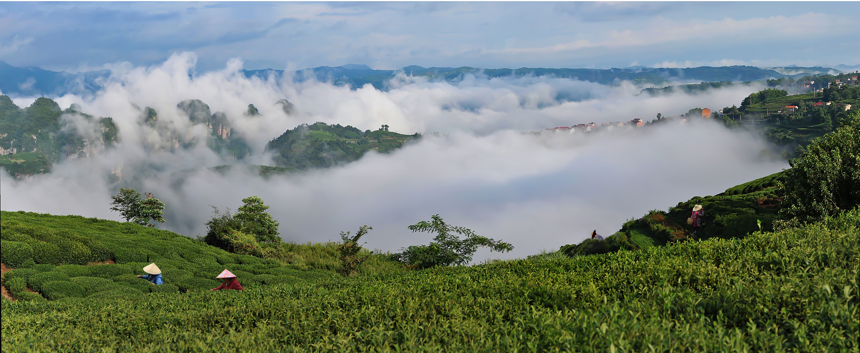 浙江新昌:春染小山村