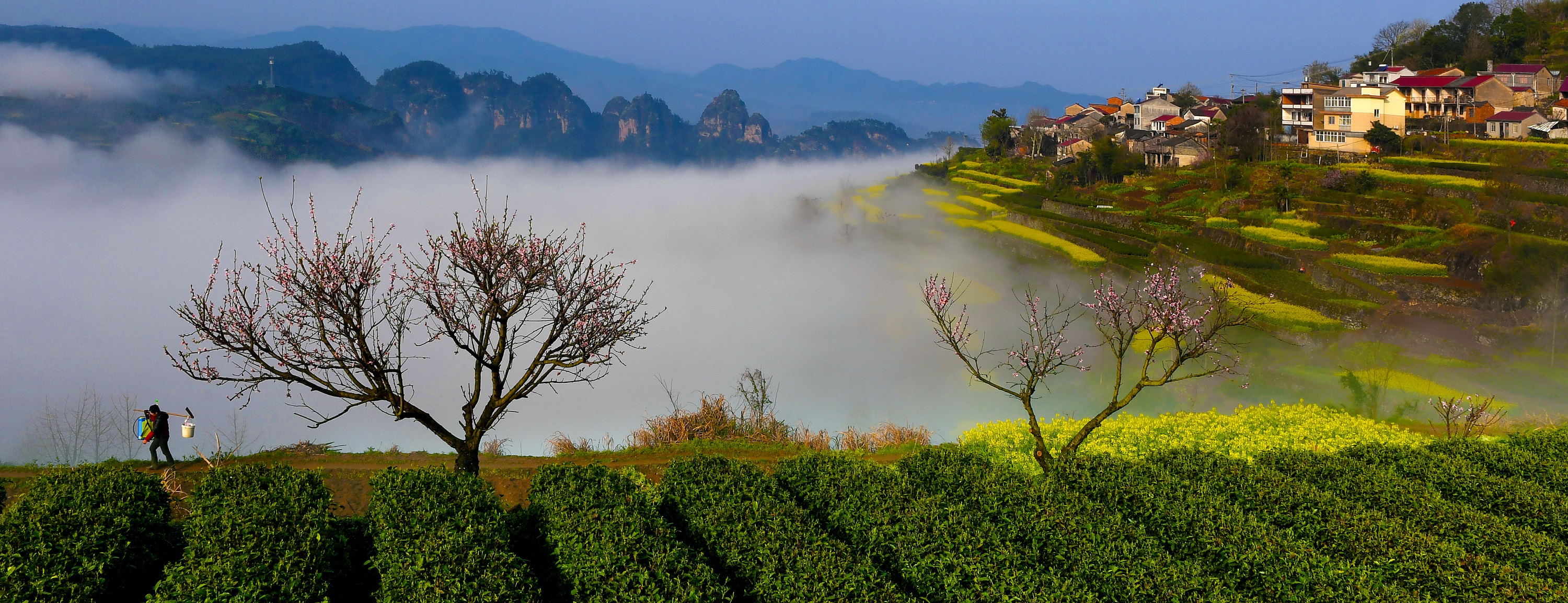 浙江新昌:春染小山村