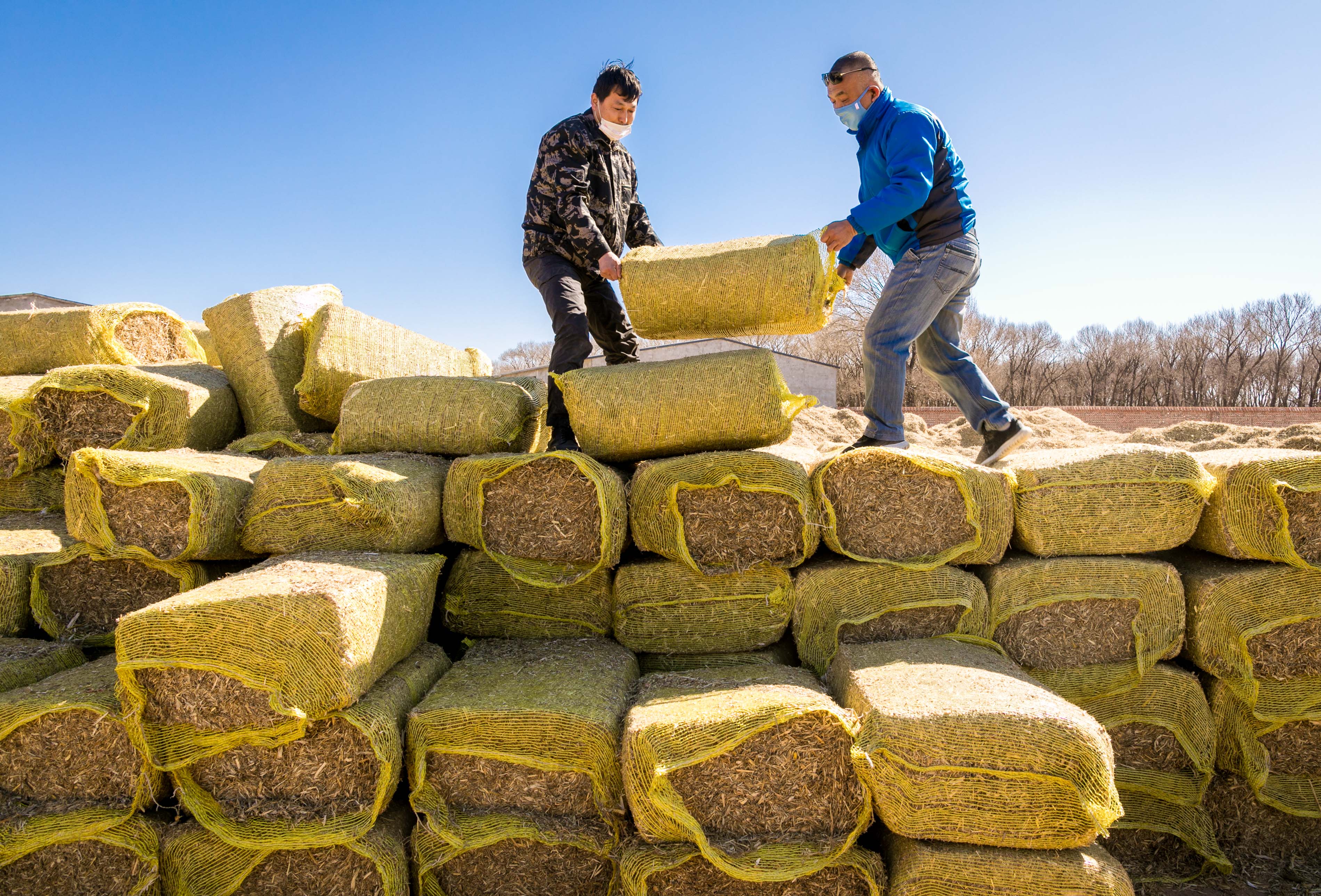 呼和浩特秸秆回收再利用环保又增效