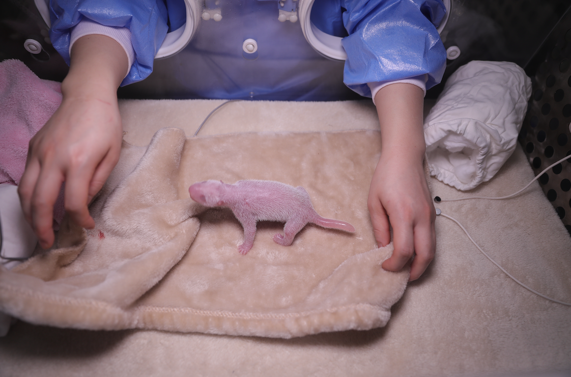 1584495704554215.png WX20200318-094134@2x.png