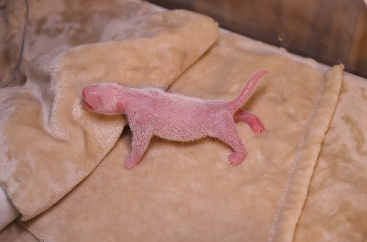 1584495736278366.png WX20200318-094207@2x.png