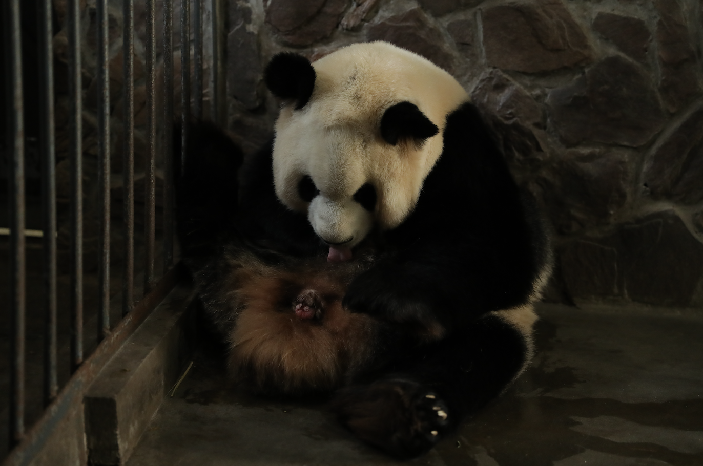 1584495776480006.png WX20200318-094244@2x.png