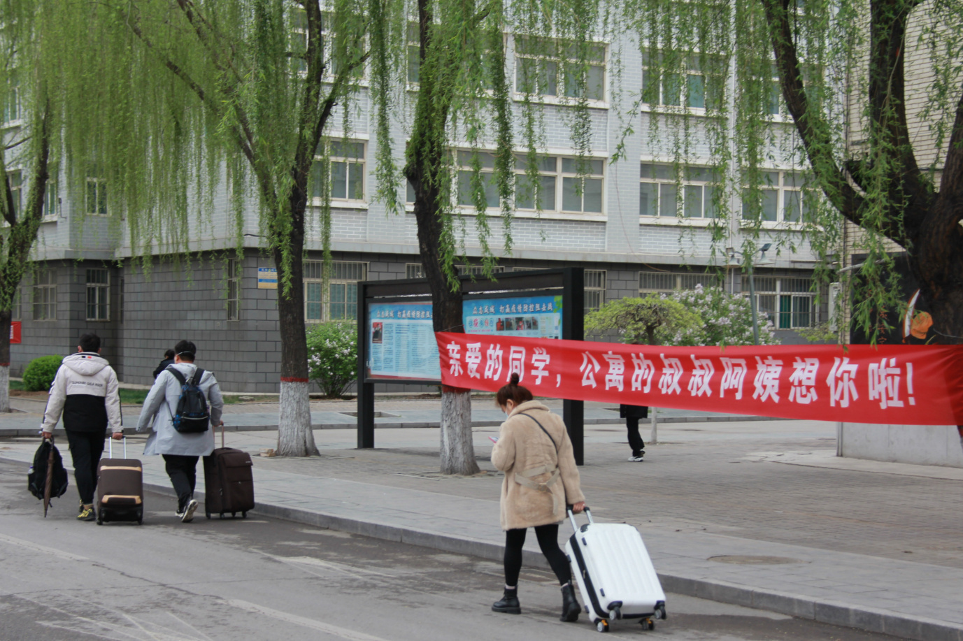 1586510549684013.jpg IMG_0049_meitu_3.jpg