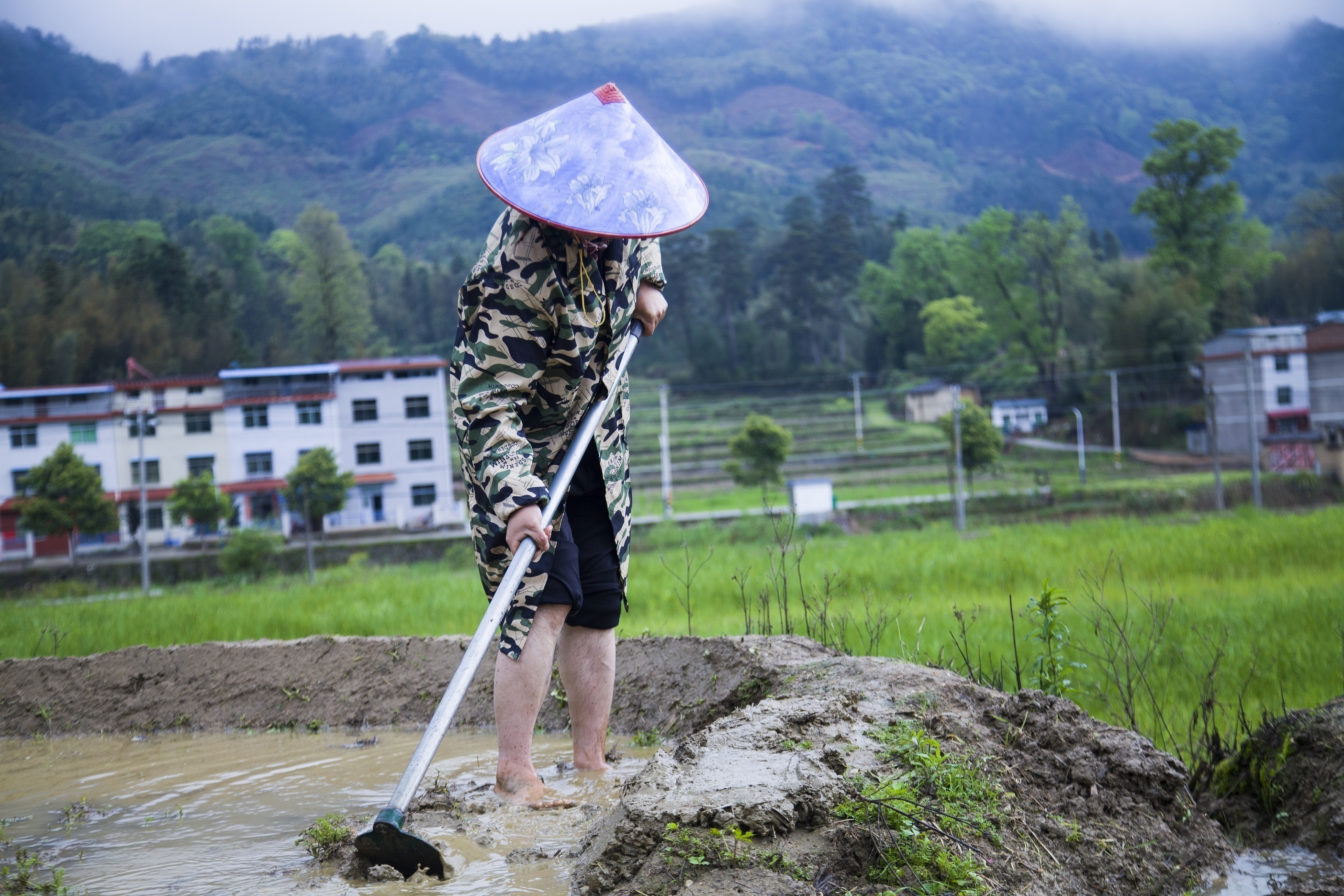 3月27日，在福建省三明市将乐县安仁乡余坑村，村民在整理田梗。邵玉姿 董观生摄影报道.jpg?x-oss-process=style/w10