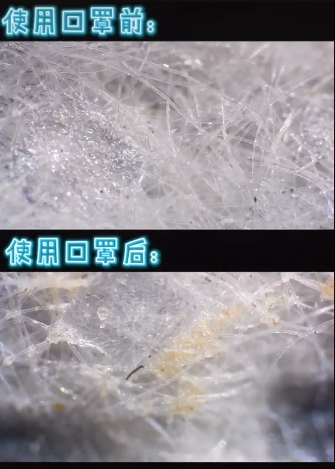 1586767405642369.jpg?x-oss-process=style/w10 20200413_164121_001.jpg?x-oss-process=style/w10