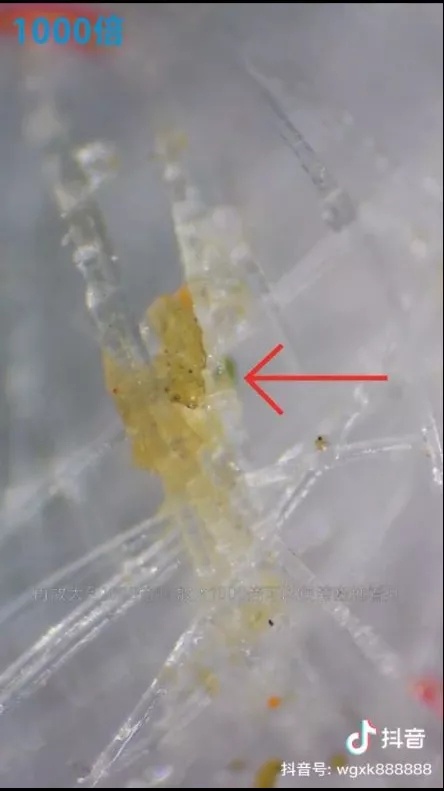 1586767424418280.jpg?x-oss-process=style/w10 20200413_164121_002.jpg?x-oss-process=style/w10