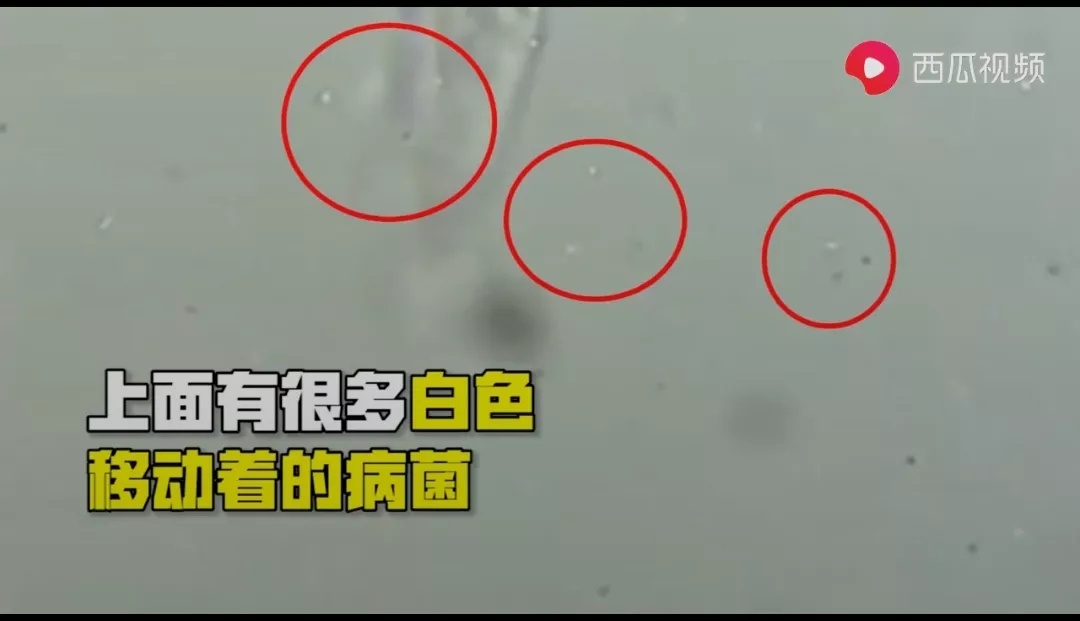 1586767445398728.jpg?x-oss-process=style/w10 20200413_164121_003.jpg?x-oss-process=style/w10