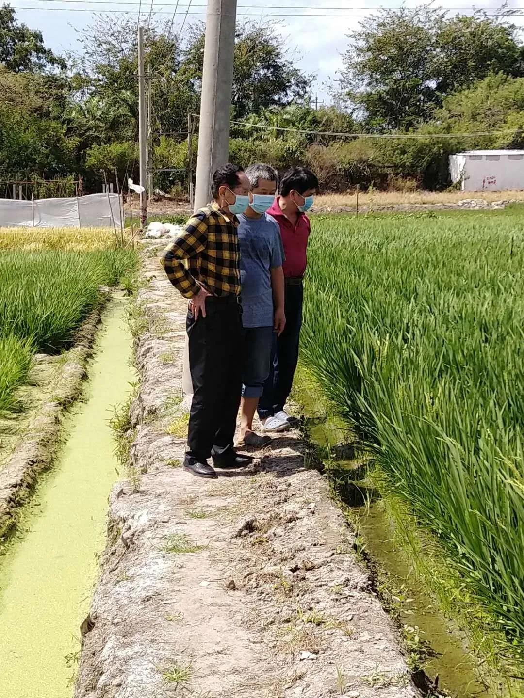 1587014291360831.jpg 微信图片_20200416131752.jpg