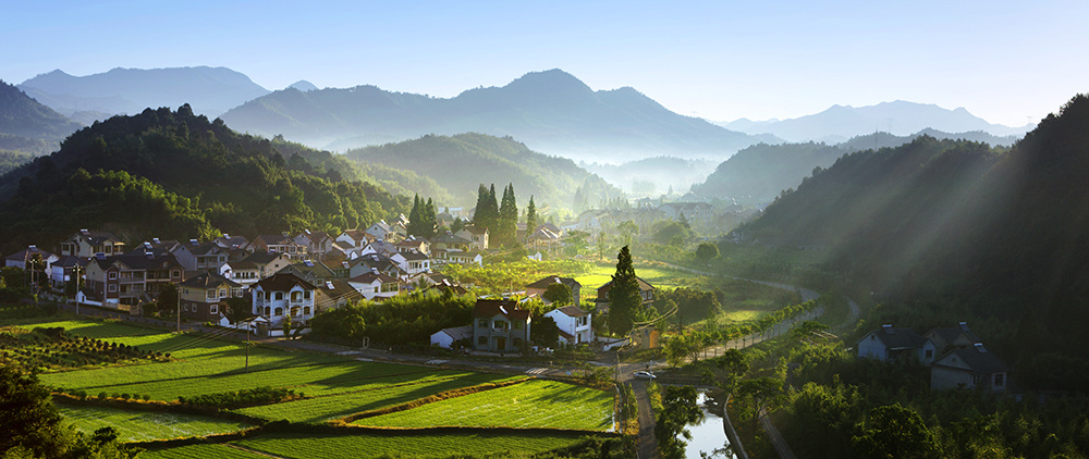 1587007244586988.jpg 清晨鲁家.jpg