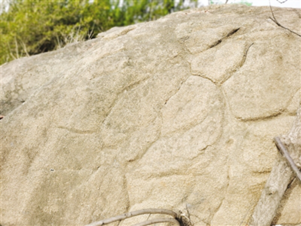 1587626992319132.png image.png