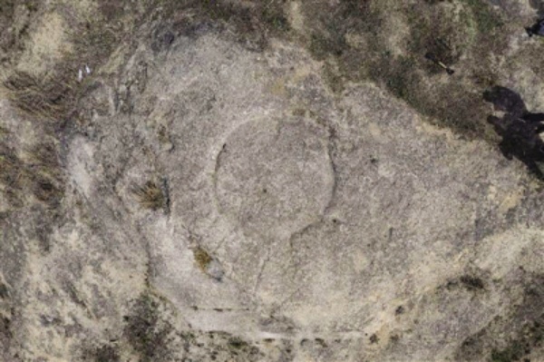 1587626148981444.png image.png