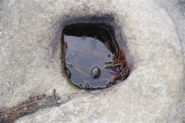 1587626230574443.png image.png