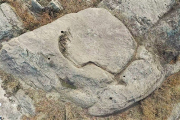 1587626388962175.png image.png