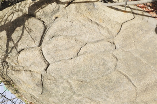 1587626971602499.png image.png