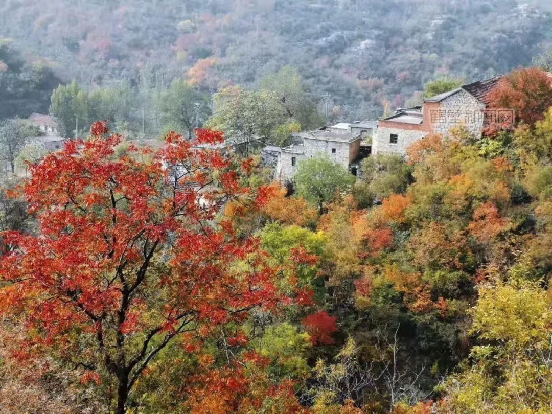 回望风采盘点收获​喜看高质量富美鹤城建设新变化