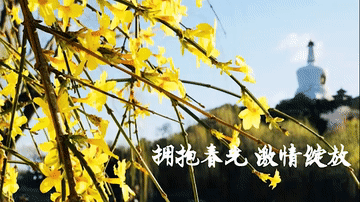 XxjsnmC007007_20200508_CBMFN0A004.gif
