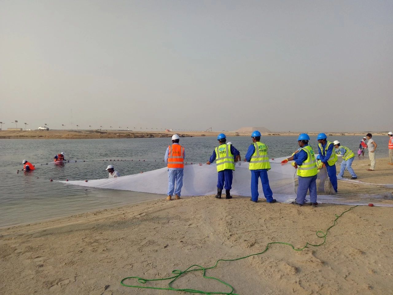 7哈电集团迪拜哈斯彦项目现场人员正在将瀉湖区内鱼类全部转移至大海。.jpg