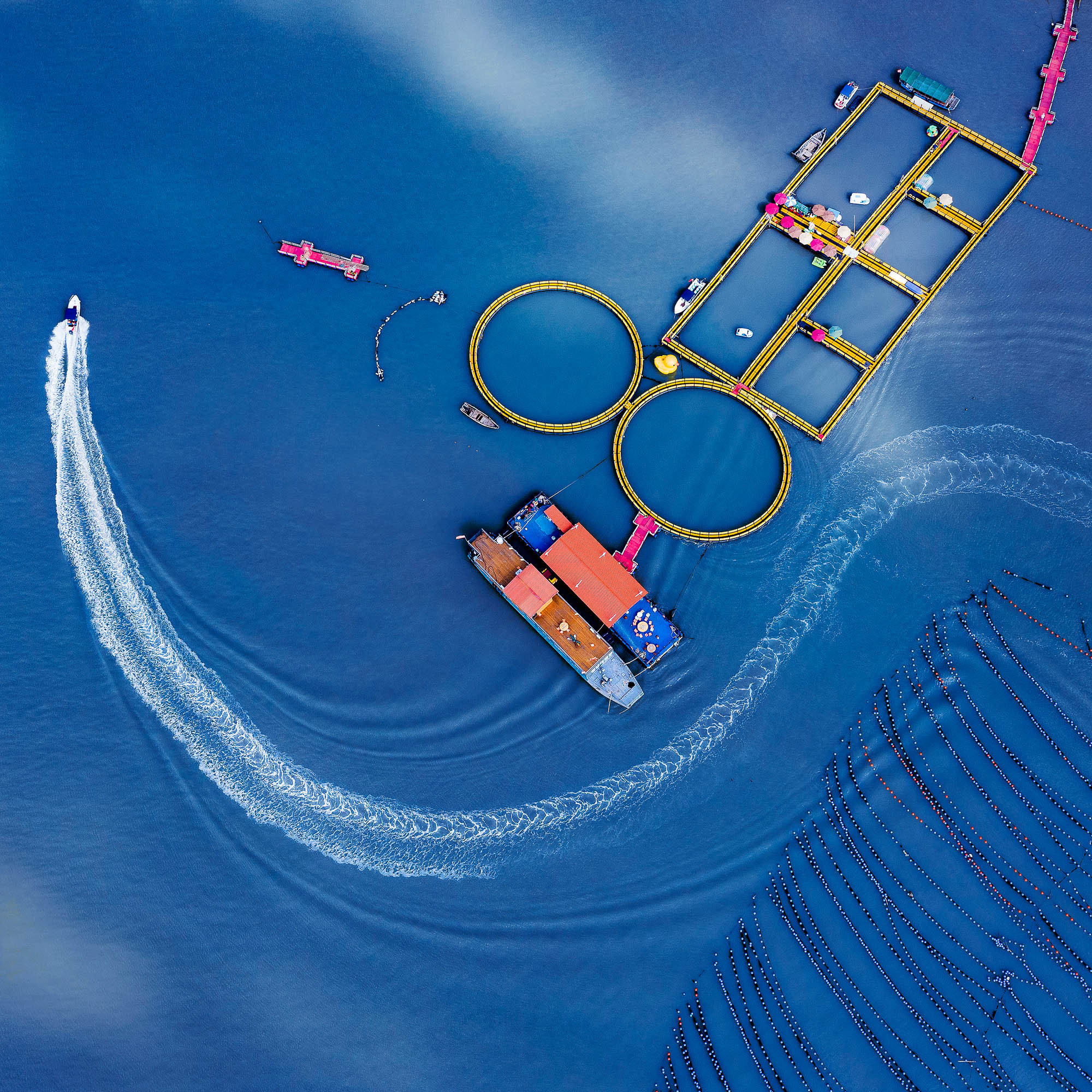 定海湾山海运动小镇附近的海湾风情游.jpg?x-oss-process=style/w10