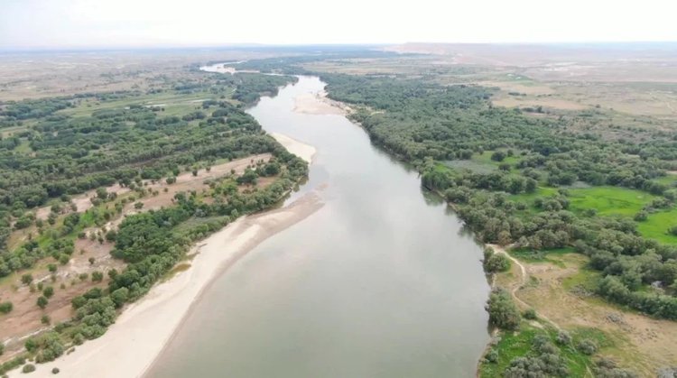 央视新闻他们驻守“蚊虫王国”，一巴掌拍死上百只！