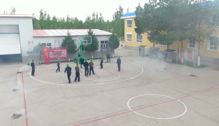 央视新闻他们驻守“蚊虫王国”，一巴掌拍死上百只！