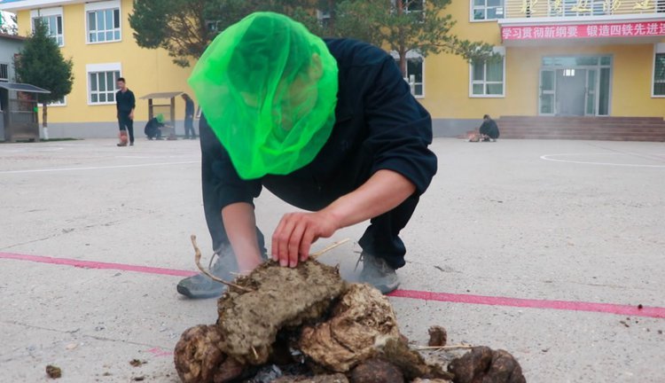 央视新闻他们驻守“蚊虫王国”，一巴掌拍死上百只！