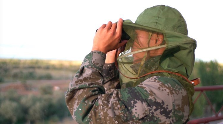 央视新闻他们驻守“蚊虫王国”，一巴掌拍死上百只！