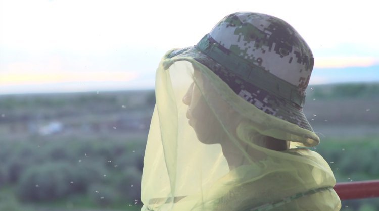 央视新闻他们驻守“蚊虫王国”，一巴掌拍死上百只！