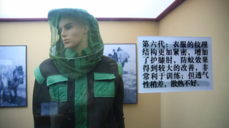 央视新闻他们驻守“蚊虫王国”，一巴掌拍死上百只！