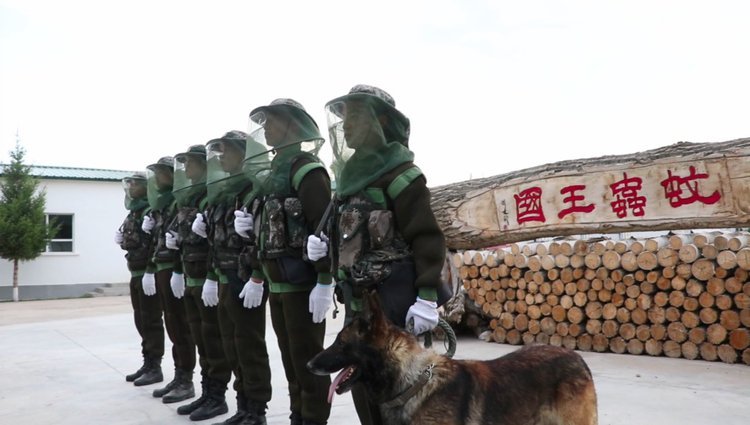 央视新闻他们驻守“蚊虫王国”，一巴掌拍死上百只！