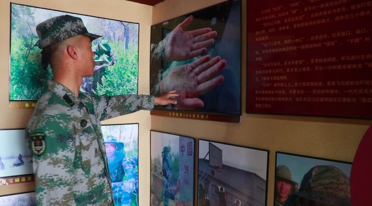 央视新闻他们驻守“蚊虫王国”，一巴掌拍死上百只！