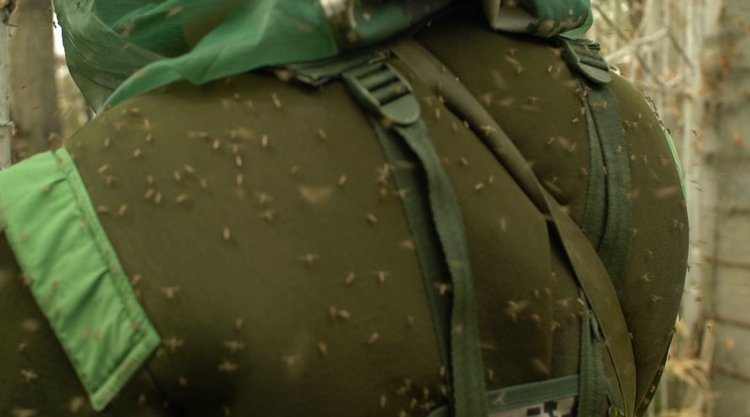 央视新闻他们驻守“蚊虫王国”，一巴掌拍死上百只！