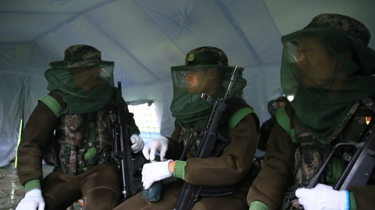 央视新闻他们驻守“蚊虫王国”，一巴掌拍死上百只！